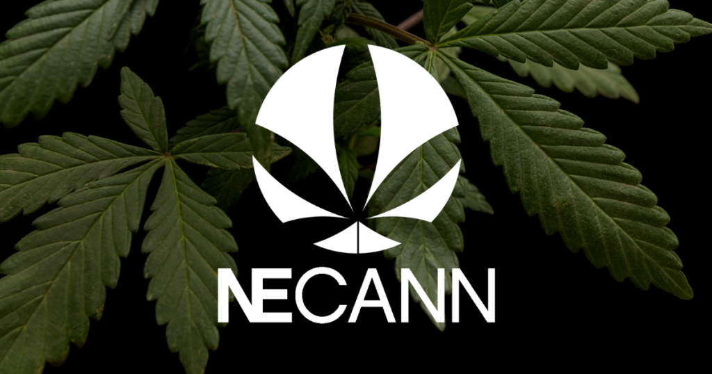 NECANN Boston